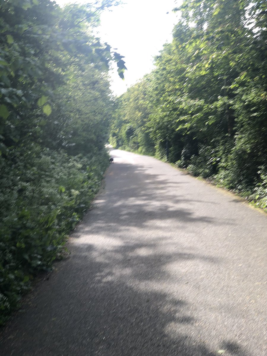 Martha Campbell (@martha7144) on Twitter photo #Socialworkni #moveamileadayinMay
One small step on greenway one giant leap of faith #Belfastmarathon. Supporting my neice who ran as part of the 38 team’s from #Methodistcollegebelfast supporting MNDcharity! Well done <a href="/MariaArtt/">maria sharvin</a> <a href="/RachelOT/">Rachel Gibbs</a> <a href="/davidwylie79/">David Wylie</a> <a href="/Emckay19/">Emckay</a> <a href="/johnhand/">John Hand</a> #Socialworkni #moveamileadayinMay
One small step on greenway one giant leap of faith #Belfastmarathon. Supporting my neice who ran as part of the 38 team’s from #Methodistcollegebelfast supporting MNDcharity! Well done <a href="/MariaArtt/">maria sharvin</a> <a href="/RachelOT/">Rachel Gibbs</a> <a href="/davidwylie79/">David Wylie</a> <a href="/Emckay19/">Emckay</a> <a href="/johnhand/">John Hand</a>