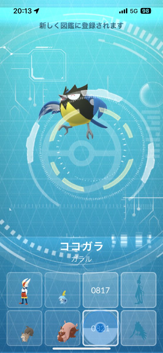 ココガラ初ゲット！