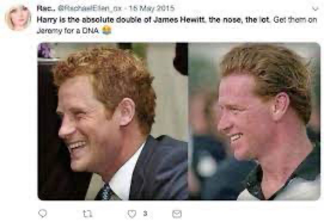 7nsk13's tweet photo. @_Genevieves_ Could it be that #harryhewitt is complicit with #MeghanMarkleIsAConArtist just because he is not a real prince, and thus have no royal blood, and so both have no compunction in ruining the Royal family??? https://t.co/eQ72KxqyD6