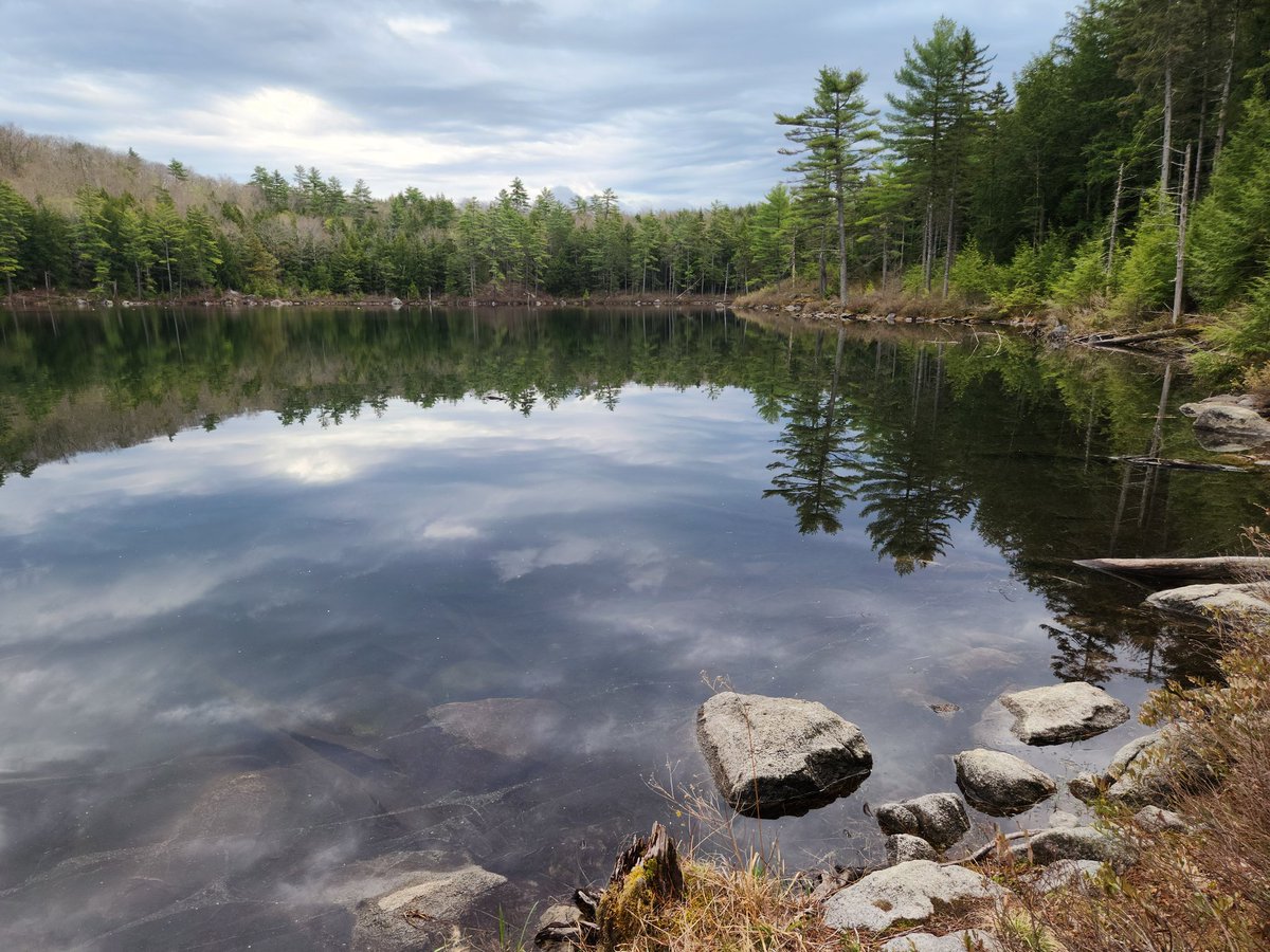 ByToddBBates's tweet photo. Yesterday at Goose Pond in central New Hampshire #environment #nature #NaturePhotography #photo #photos #photography #photographer #NH #NewHampshire #clouds #cloudscape https://t.co/pJcHtmG97r
