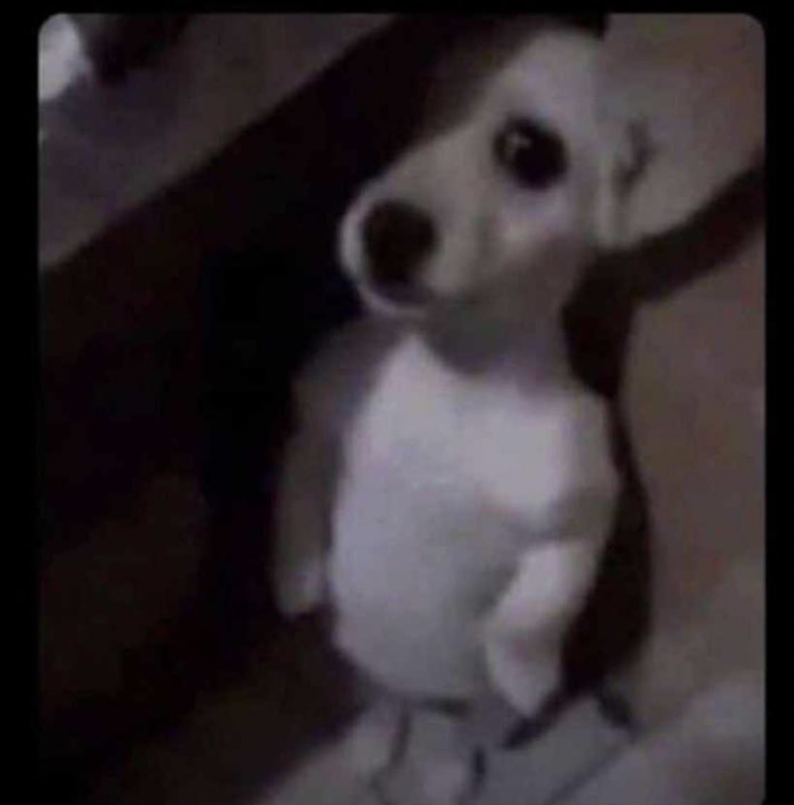 Mbu kati bwesilya lunch nffa