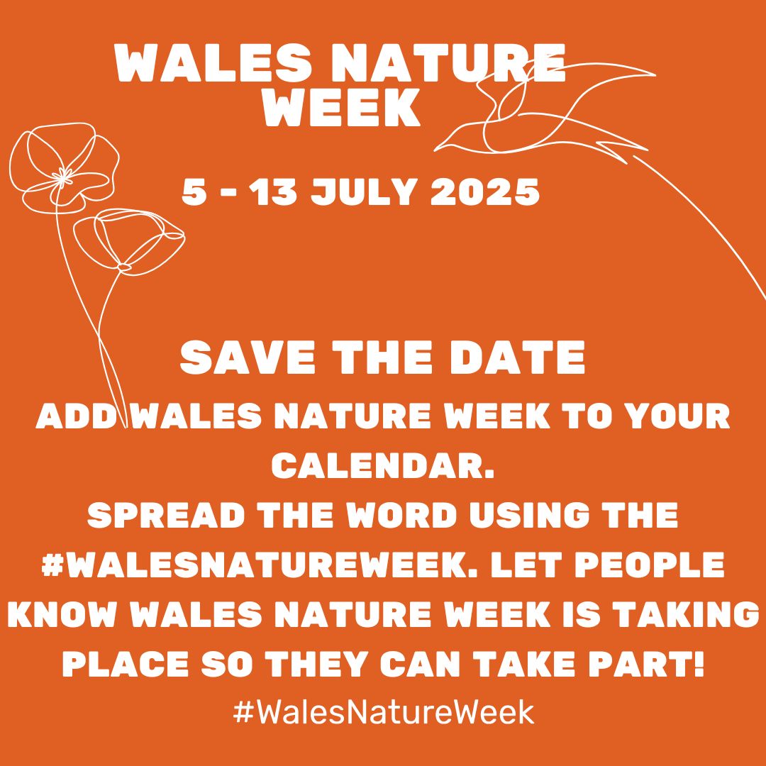 #WalesNatureWeek #Nature #Wales #WalesOutdoors #Biodiversity #GetOutside 
⏬
biodiversitywales.org.uk/Wales-Nature-W…