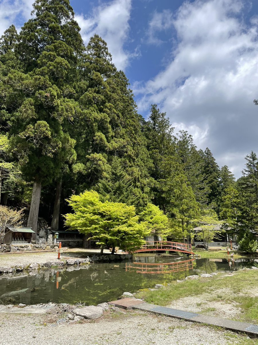 hitotokinako's tweet photo. 奈良県天川村にある龍泉寺に行ってきました
眩しいほどに輝く青紅葉に、たくさんのエネルギーをいただきました https://t.co/r1bSL6IhDQ