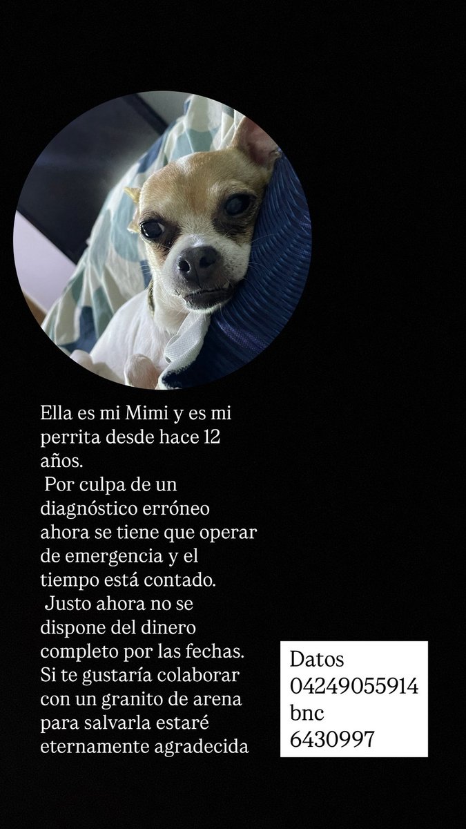 ortizzania's tweet photo. loco si 130 personas ponen 1$ mi perro se salva por favor es lo único q he amado en este mundo de forma genuina https://t.co/dZoCnifGw9
