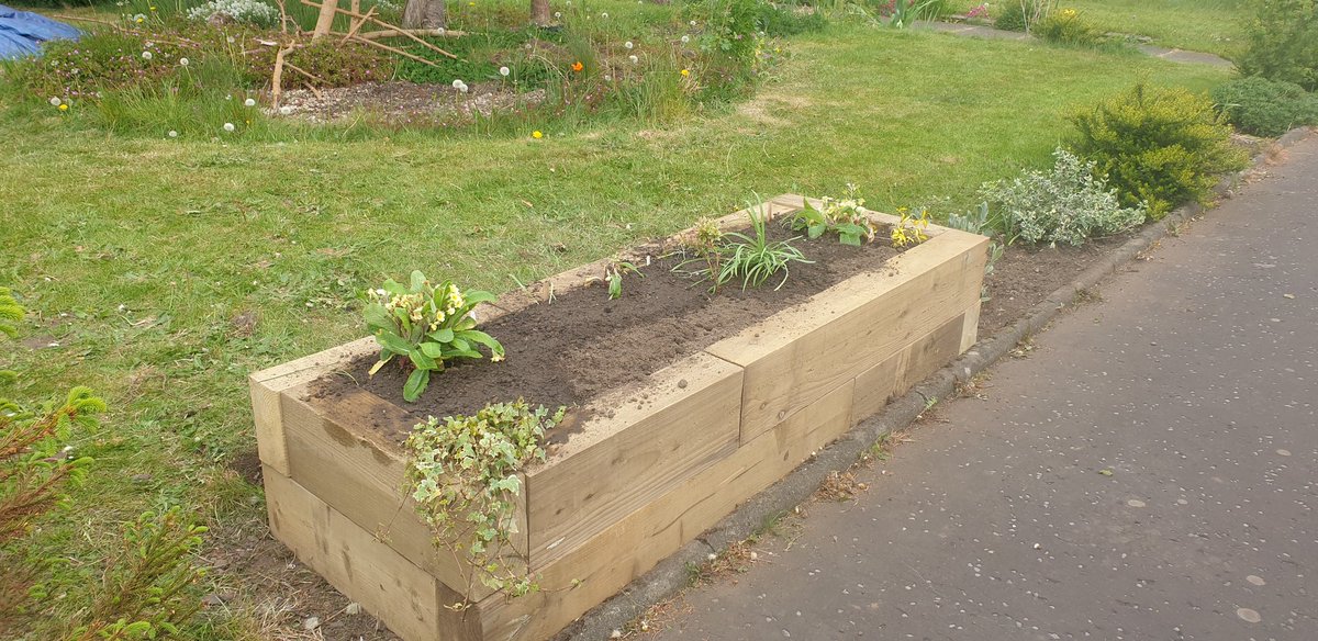 KarlZeiner's tweet photo. New raised bed. #Gardening https://t.co/5PPaYdlVpD
