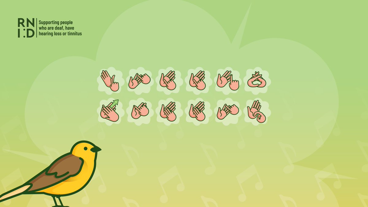 RNID (@rnid) on Twitter photo Today is #InternationalDawnChrousDay and we’ve joined forces with <a href="/RSPBEngland/">RSPB England</a> to encourage everyone to immerse themselves in nature, and take our online hearing check: bit.ly/34ZrXQq
Can you figure out what these birds are from the BSL fingerspelling? 🐦 🦉 🐤 Today is #InternationalDawnChrousDay and we’ve joined forces with <a href="/RSPBEngland/">RSPB England</a> to encourage everyone to immerse themselves in nature, and take our online hearing check: bit.ly/34ZrXQq
Can you figure out what these birds are from the BSL fingerspelling? 🐦 🦉 🐤