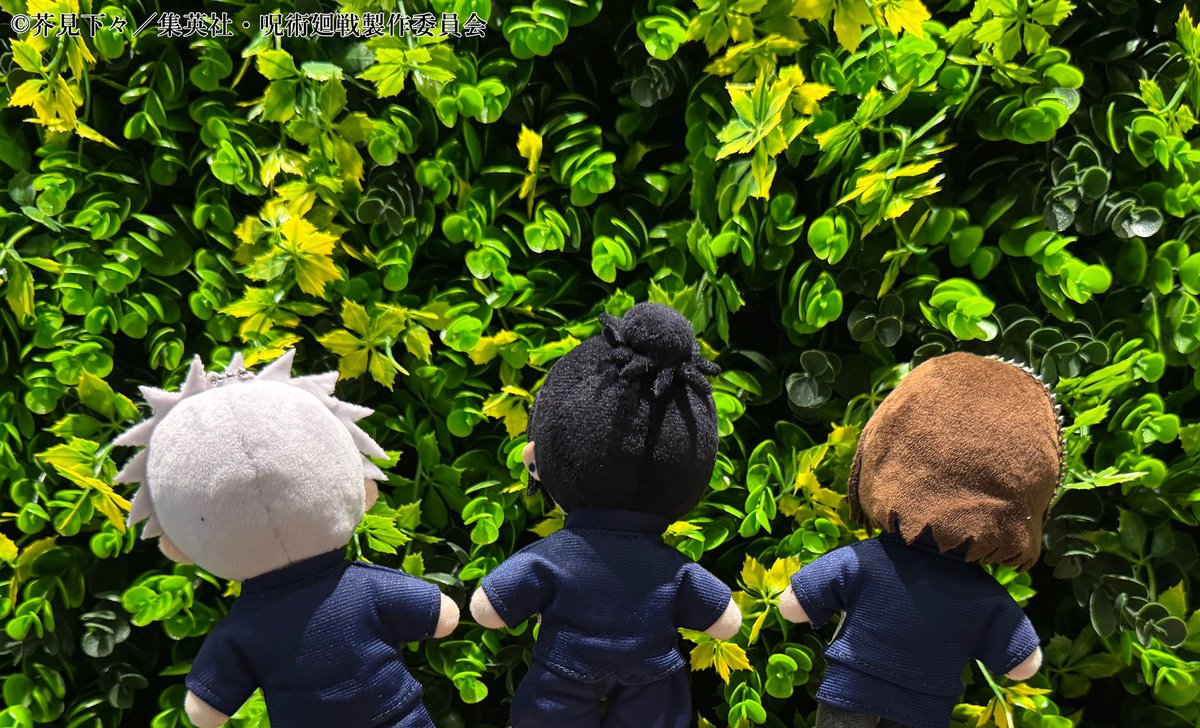 ジロリぬいぐるみ coming soon!! #呪術廻戦 #懐玉・玉折