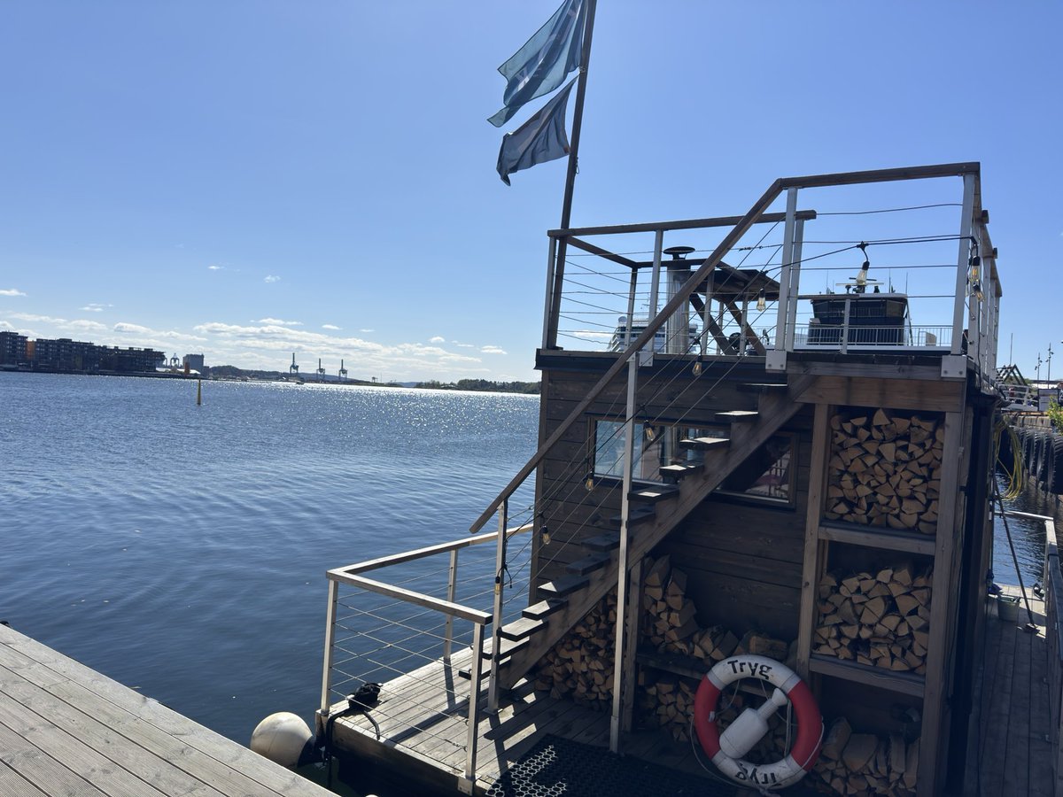 MrsNLParker's tweet image. Norwegian Fjord dipping today 🏊