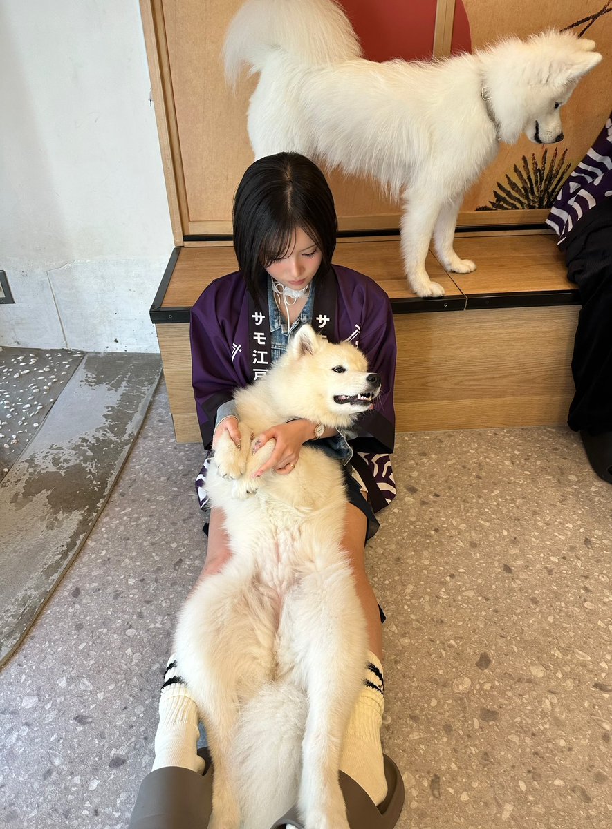 Post by あおちゃんぺ🐯🍼 on X: ううううう