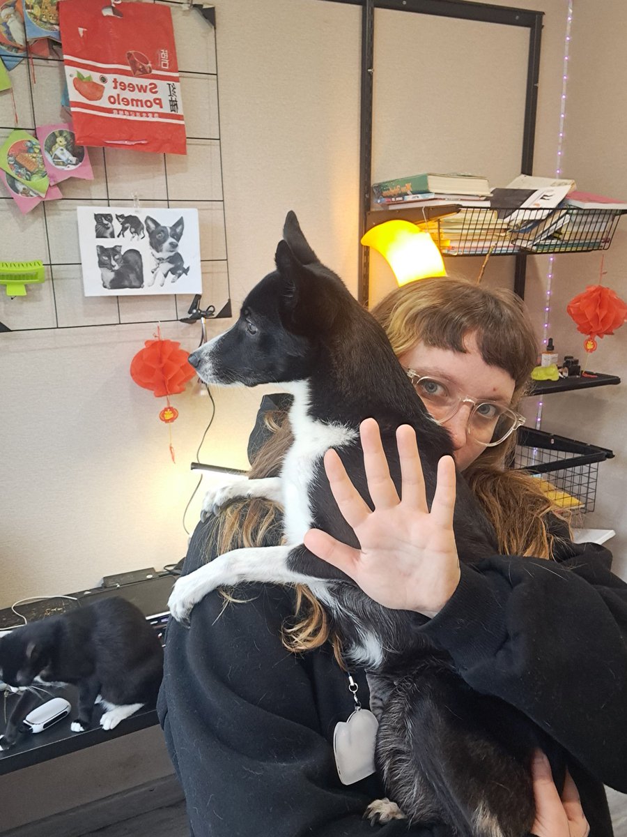 pritvoraa's tweet image. Sorry for the long update, I moved to a new apartment with my pets, thanks to everyone for their help!
🐱🐶