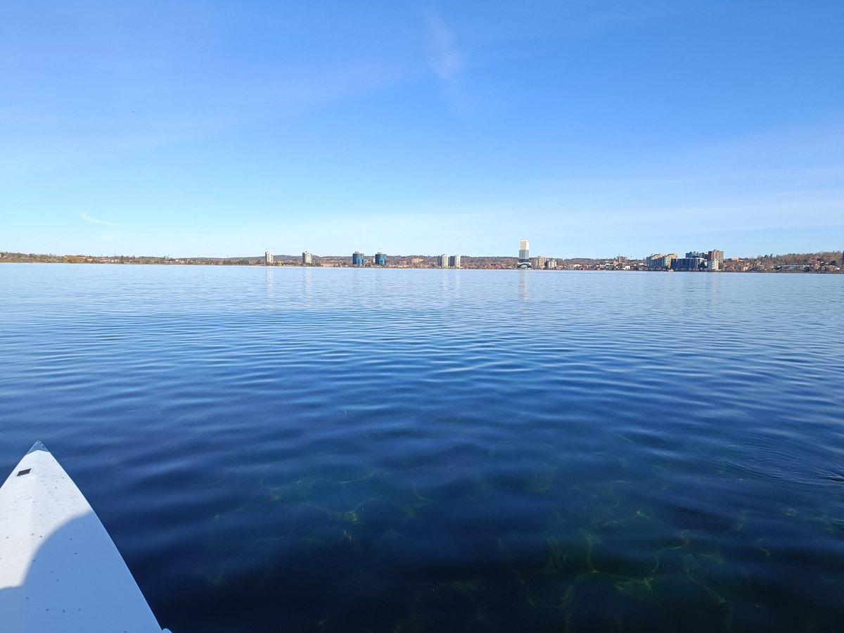 Spring rowing in #Barrie