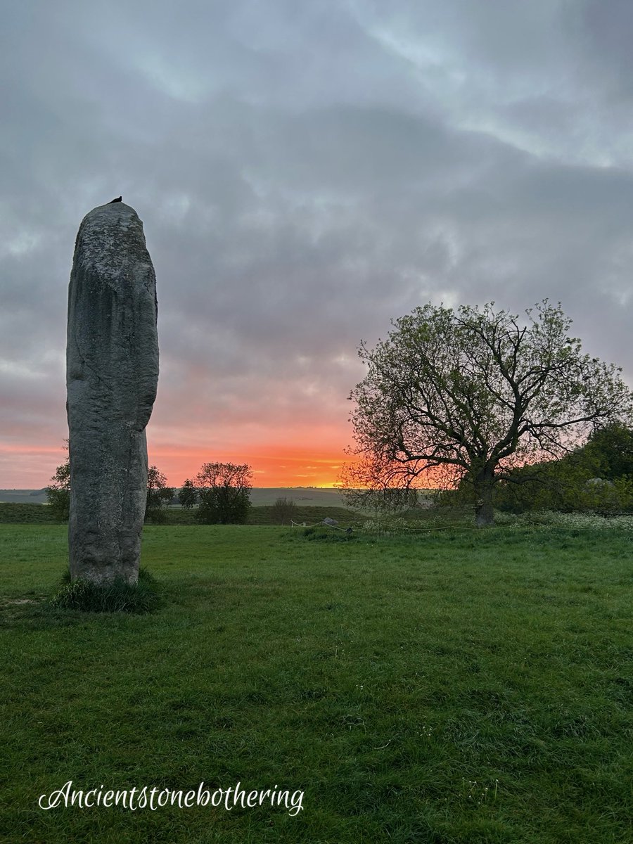 Ancient Stone Bothering tweet media
