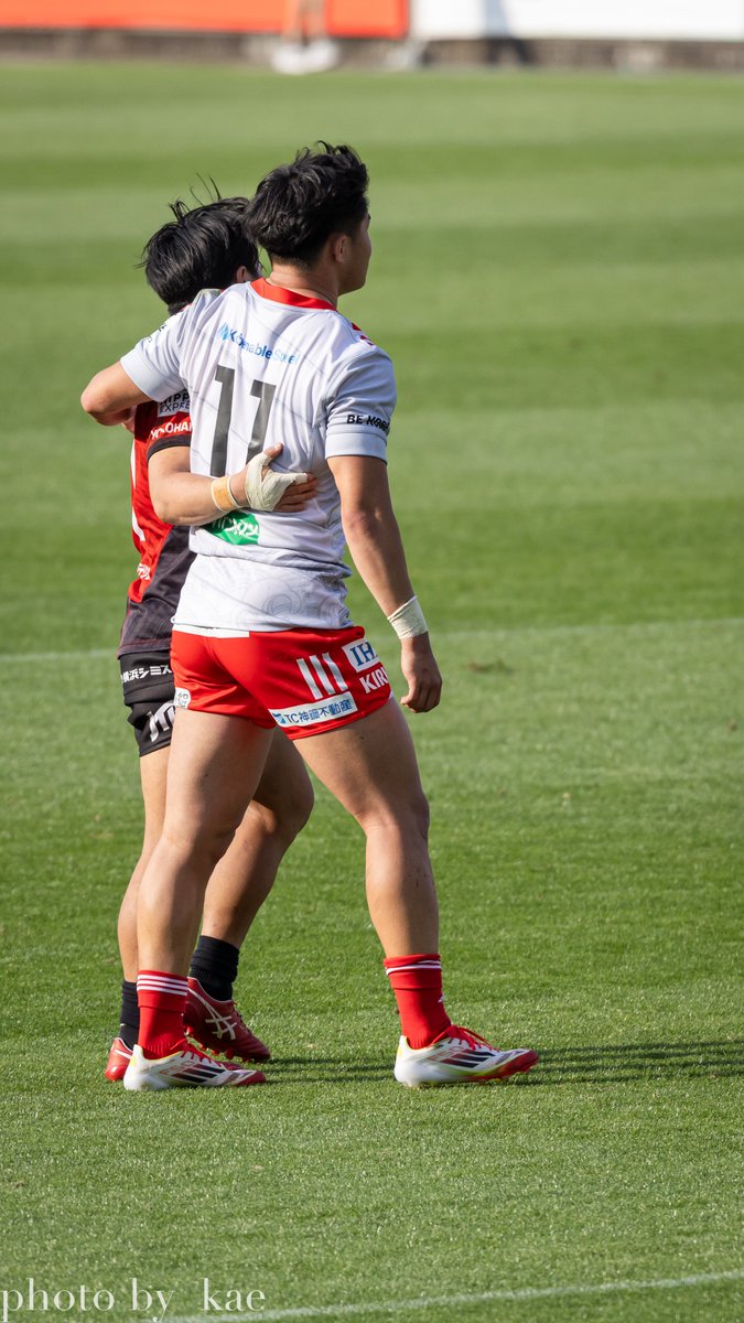 Japan7s - Search / X