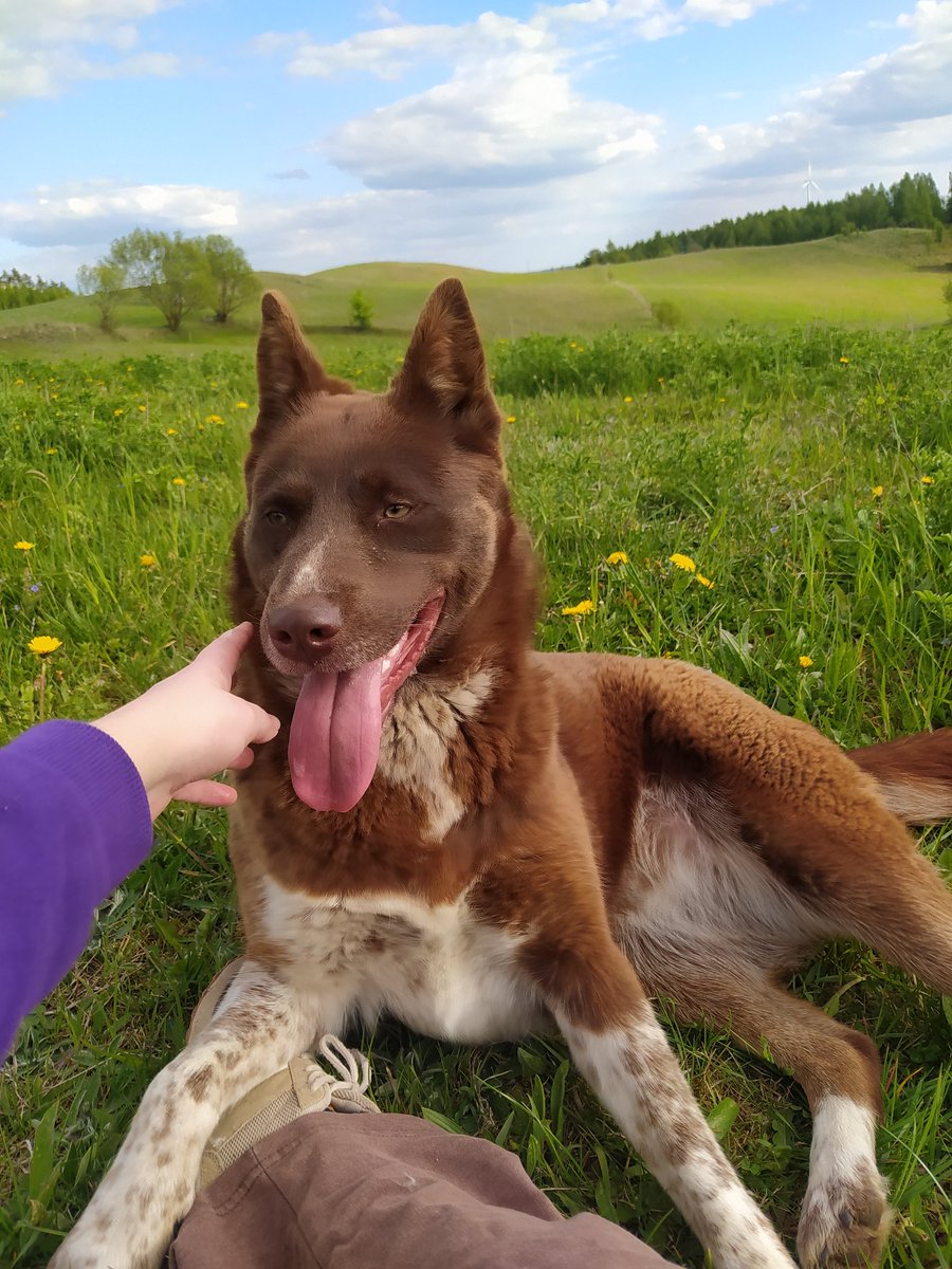 We had a nice walk 🌞