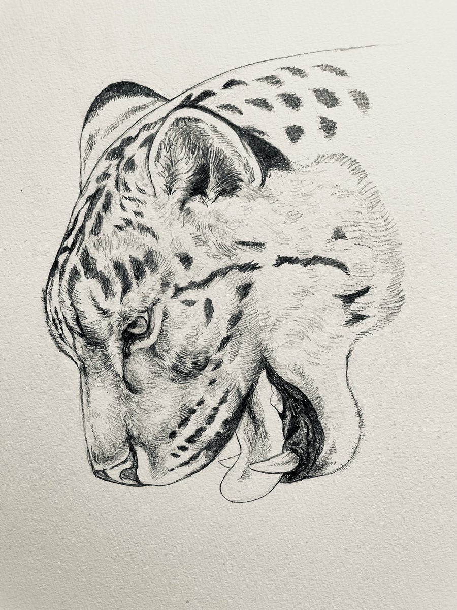 #ゴールデンウィークSNS展覧会2025