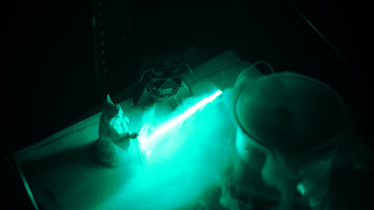 CEB Cambridge (@cebcambridge) on Twitter photo May the 4th be with you!
Our researchers in <a href="/StranksLab/">StranksLab</a> use lasers (like the one our little green friend is holding here) to test how their solar cells react to different wavelengths of light.
🧪⚙️🌱🔋
#MayTheFourthBeWithYou
#ChemicalEngineering #Biotechnology #Cambridge May the 4th be with you!
Our researchers in <a href="/StranksLab/">StranksLab</a> use lasers (like the one our little green friend is holding here) to test how their solar cells react to different wavelengths of light.
🧪⚙️🌱🔋
#MayTheFourthBeWithYou
#ChemicalEngineering #Biotechnology #Cambridge