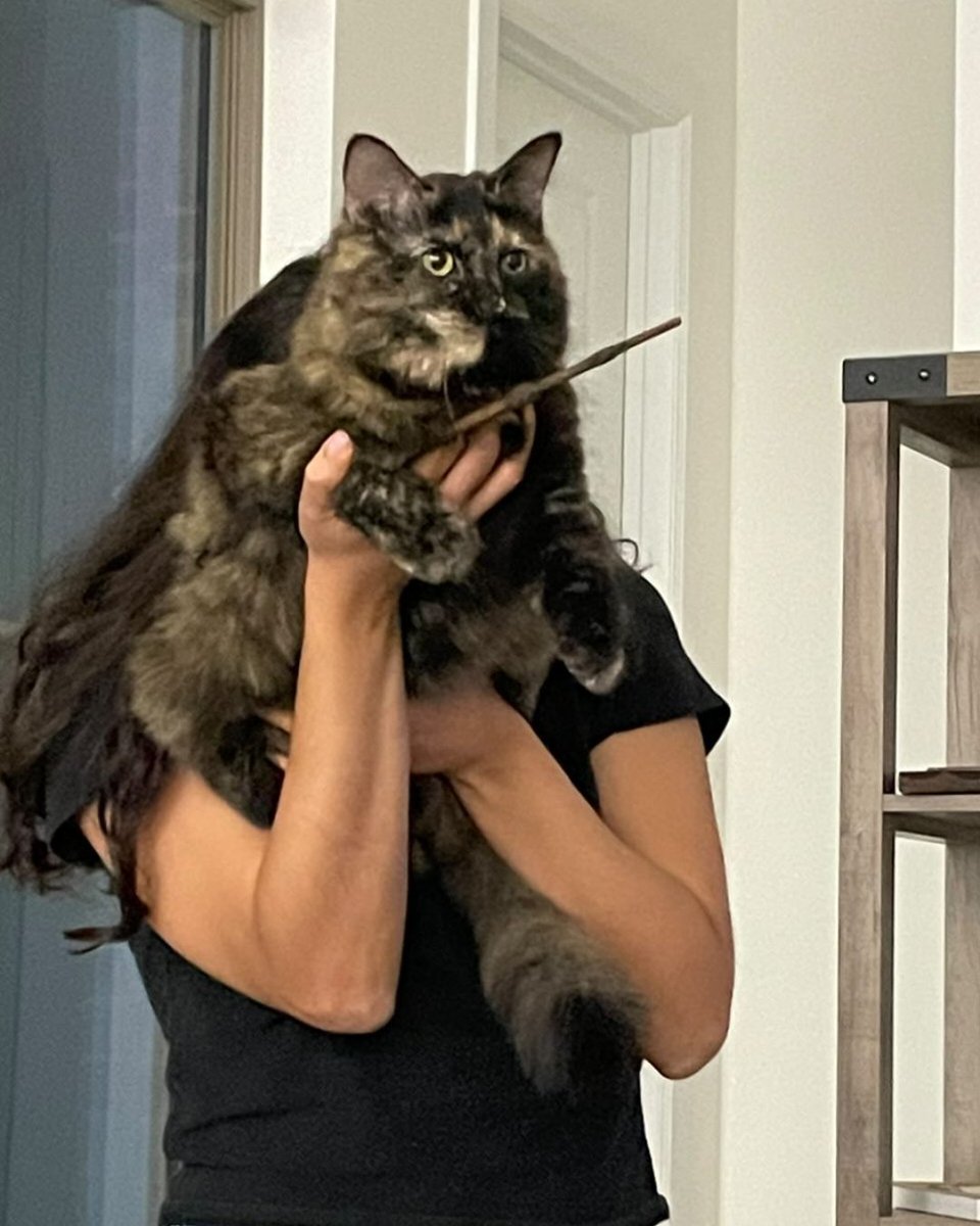 ASPCA Pet Insurance (@aspcapetins) on Twitter photo May the 4th be with you… unless you’re late with dinner. Then it’s a duel.
📸: Tubby & Anna S. 
#May4 #maytheforthbewithyou #StarWars #Yoda #Pets #Cats May the 4th be with you… unless you’re late with dinner. Then it’s a duel.
📸: Tubby & Anna S. 
#May4 #maytheforthbewithyou #StarWars #Yoda #Pets #Cats