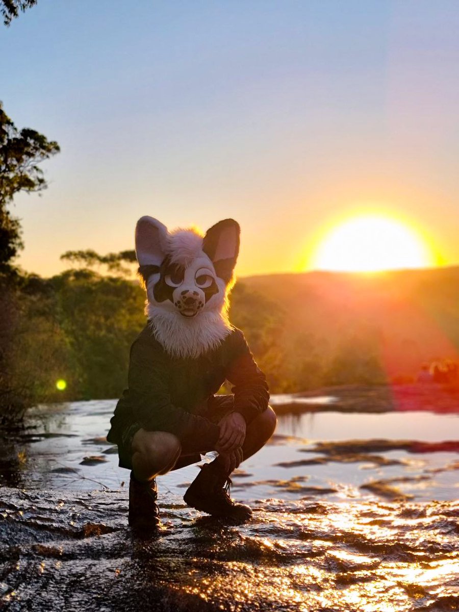 dadogmutt's tweet image. Had a mad time at Paws Outdoors
📸 @DrifterTheWolf @ArcoHusky