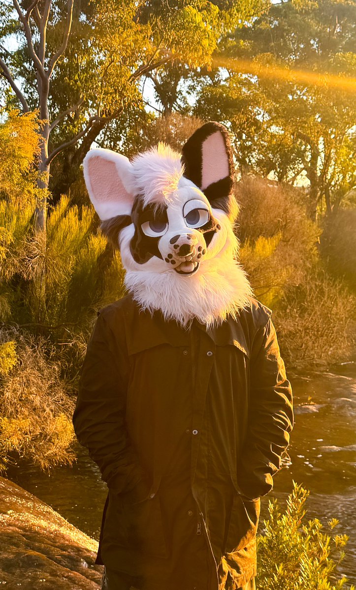 dadogmutt's tweet image. Had a mad time at Paws Outdoors
📸 @DrifterTheWolf @ArcoHusky
