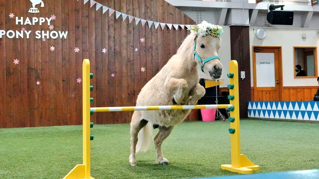 ♡チャチャ♡ ちゃちゃ 池ﾊﾛ26 on X