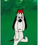 Jelly Foxfire tweet media