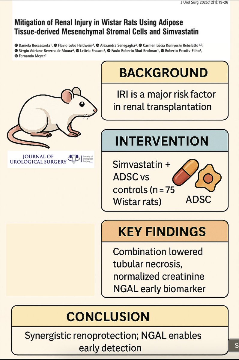 Flávio L Heldwein, MD, PhD (@uroonco) on Twitter photo jurolsurgery.org/articles/mitig… visual abstract of our recently published paper <a href="/fernandomeyer11/">fernando meyer</a> jurolsurgery.org/articles/mitig… visual abstract of our recently published paper <a href="/fernandomeyer11/">fernando meyer</a>