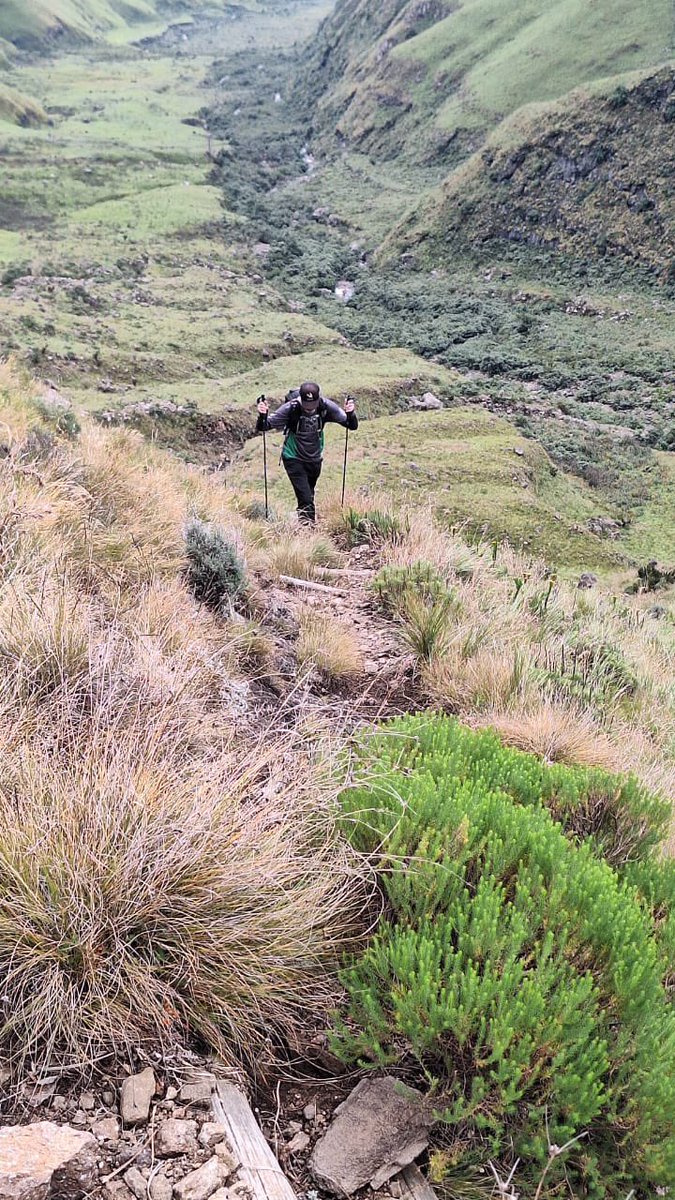 slamdancing's tweet image. Epic Adventure up Grays Pass 🤘🏻😎🤘🏻