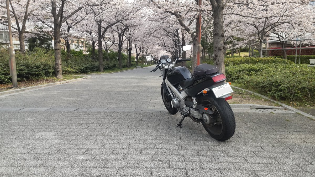 7013fH's tweet photo. 1年8か月の間でしたが、内容の濃いバイクライフを与えてくれた事に、感謝🙏😊。ホンダBROS 1989年式・・・フラットトルクで乗りやすく、隠れ名車だと思う。

#ホンダブロス https://t.co/n3lD38XRfG