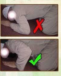 mrmma101's tweet photo. 💬
*`اعتدلوا في السجود`*

قال رسول الله ﷺ : 

( *اعتدلوا في السجود ، ولا يبسط أحدكم ذراعيه انبساط الكلب* )

[ رواه البخاري ومسلم] 

🕋📿🤍 https://t.co/nowWzqeMK1