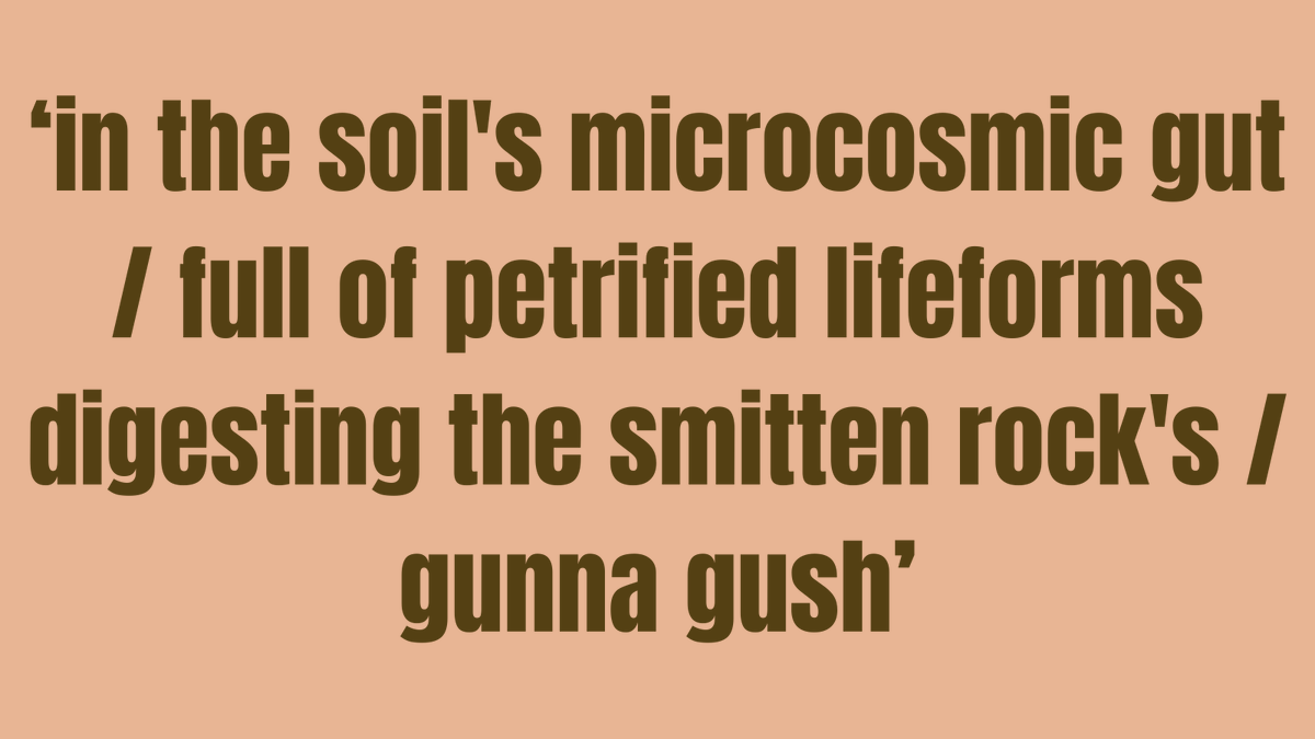 🏳️‍⚧️🏳️‍🌈Explore composting and lesbian separatism with Kate Schneider in ‘The worm forgives the maritozzi’ 🪱 👩‍🌾This and more in fruitjournal.co.uk

#LGBTQIA #WritingCommunity #poetrycommunity #nonfiction #poetry #fiction