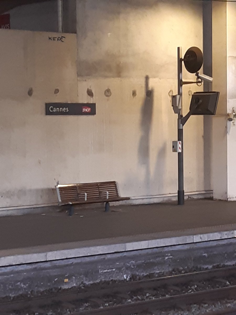 Steve Shaw tweet media