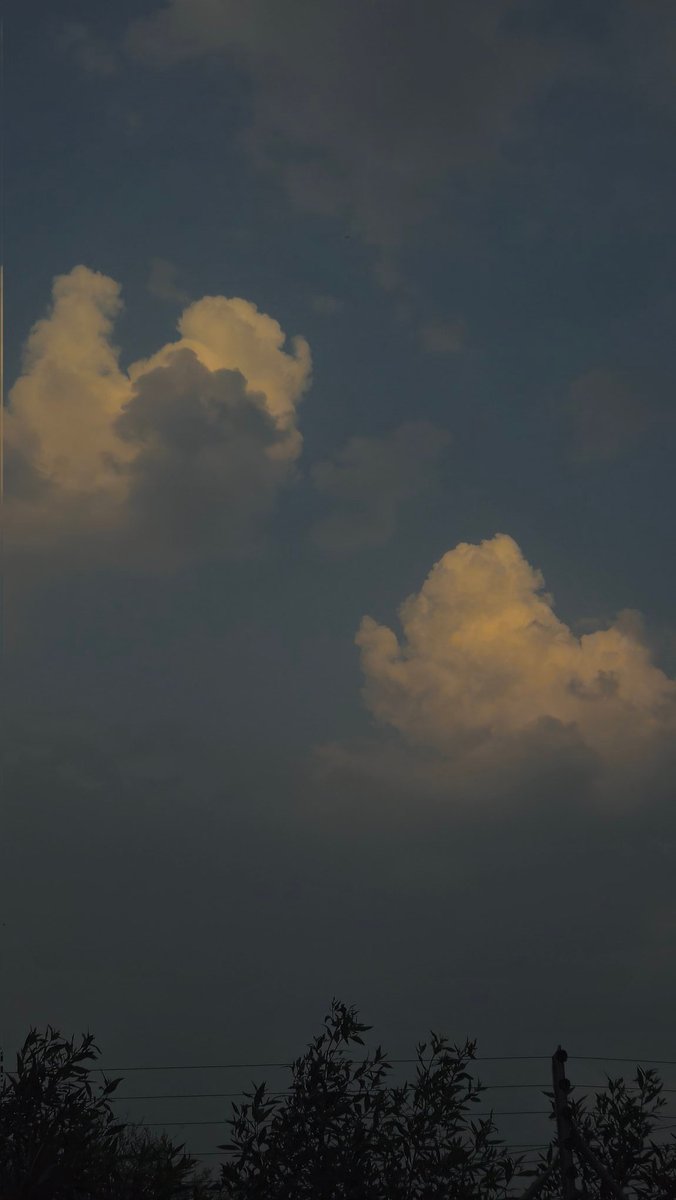 CsmAbhinav's tweet photo. ✅️Sometimes the clouds catch fire with the last light of day, reminding us that even the dark moments hold beauty if we dare to look up.
#EveningGlow #NatureInspires #CloudsOfHope https://t.co/zvcQCLp7Se