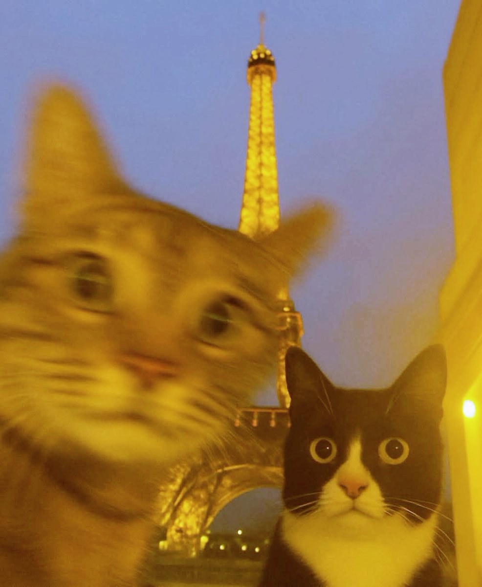 Typical tourists in Paris.