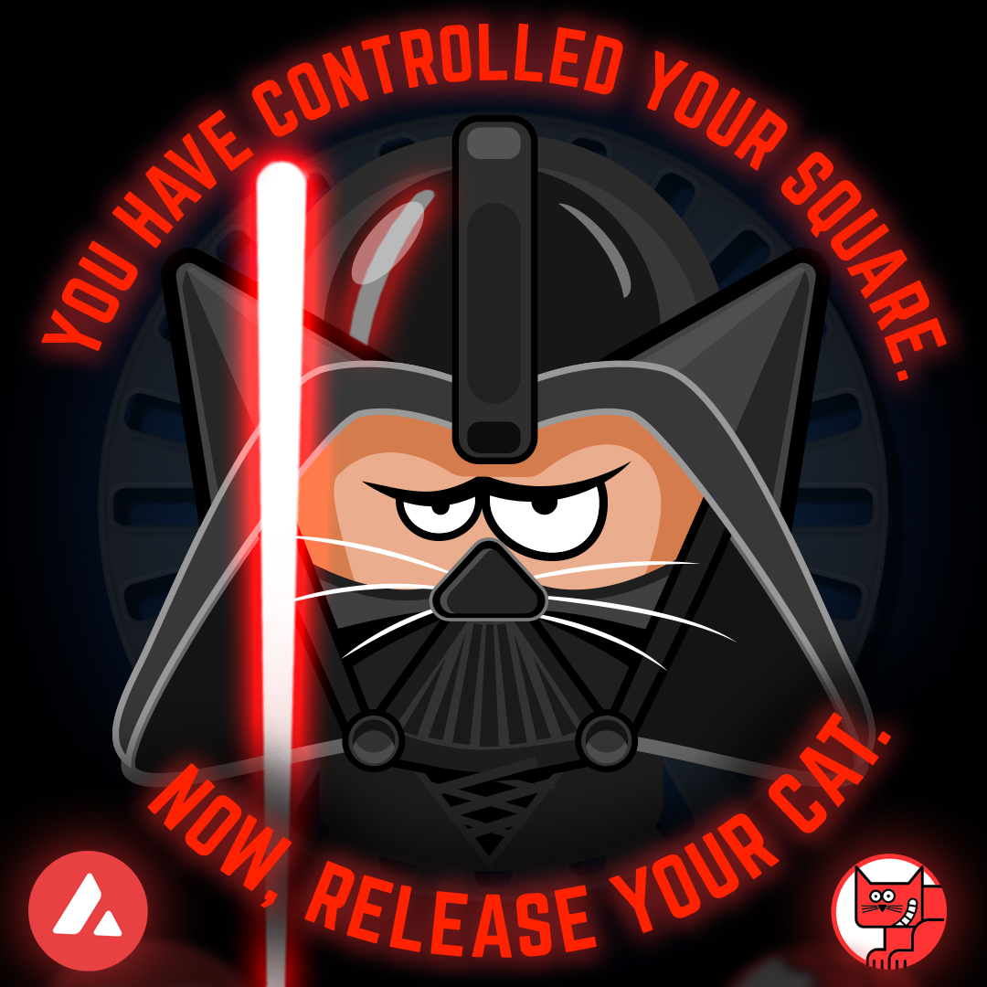 May the Square be with you. 🟥😼

#starwars #sqrcat