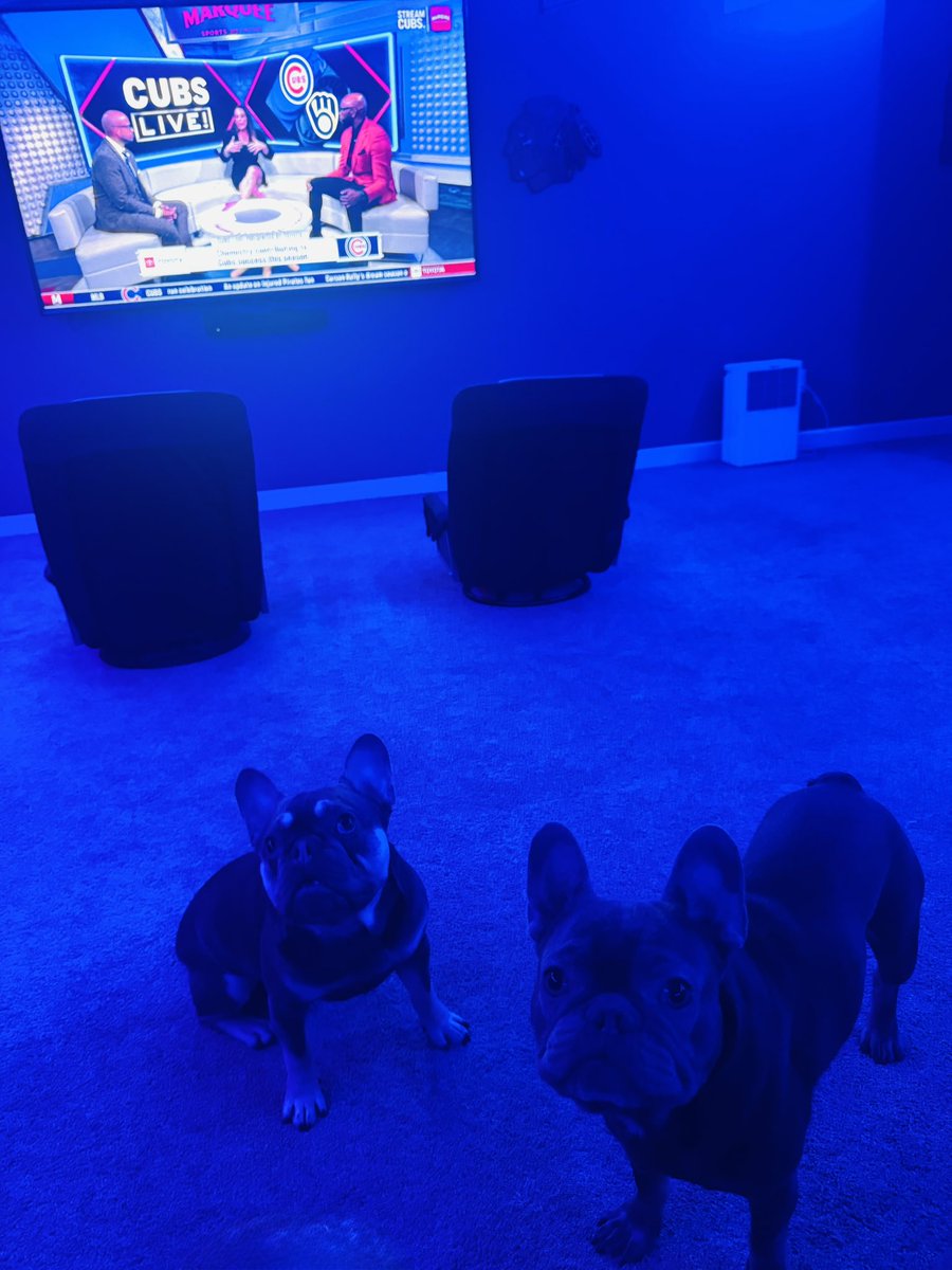 Arron Knisley tweet media