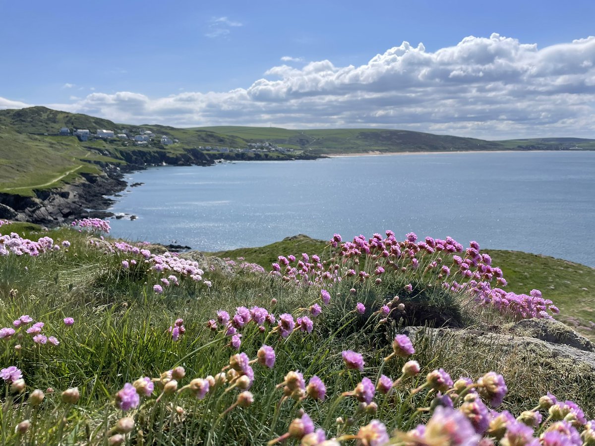 timhayne tweet media