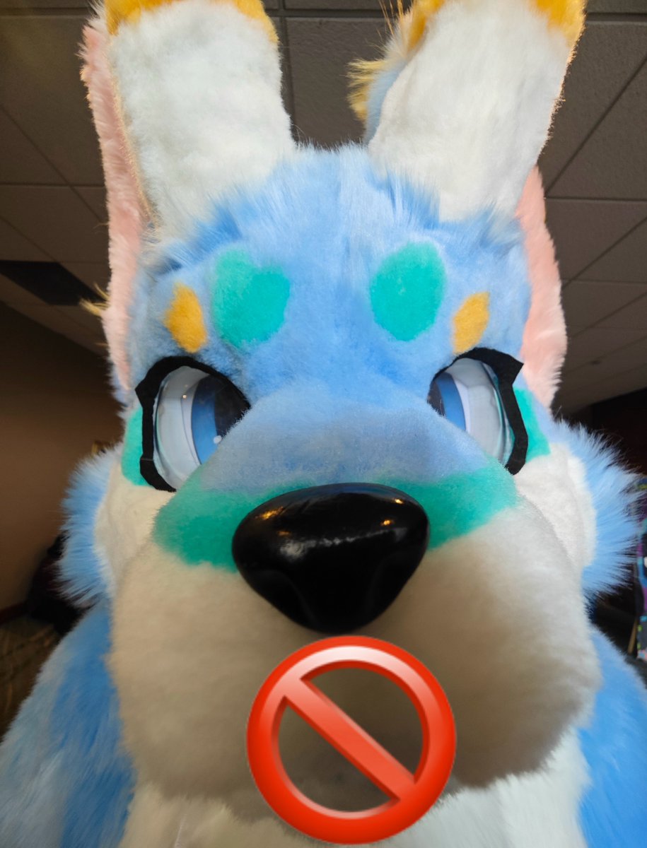 为什么都说HiFurry电梯难等，但是有一个兽聚叫做Furnal Equinox