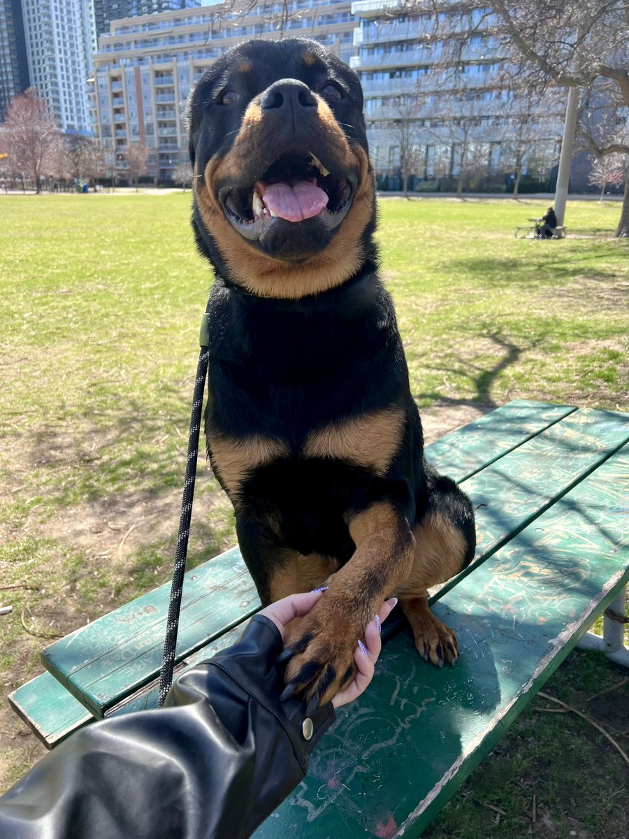 Ilona Dusk tweet media