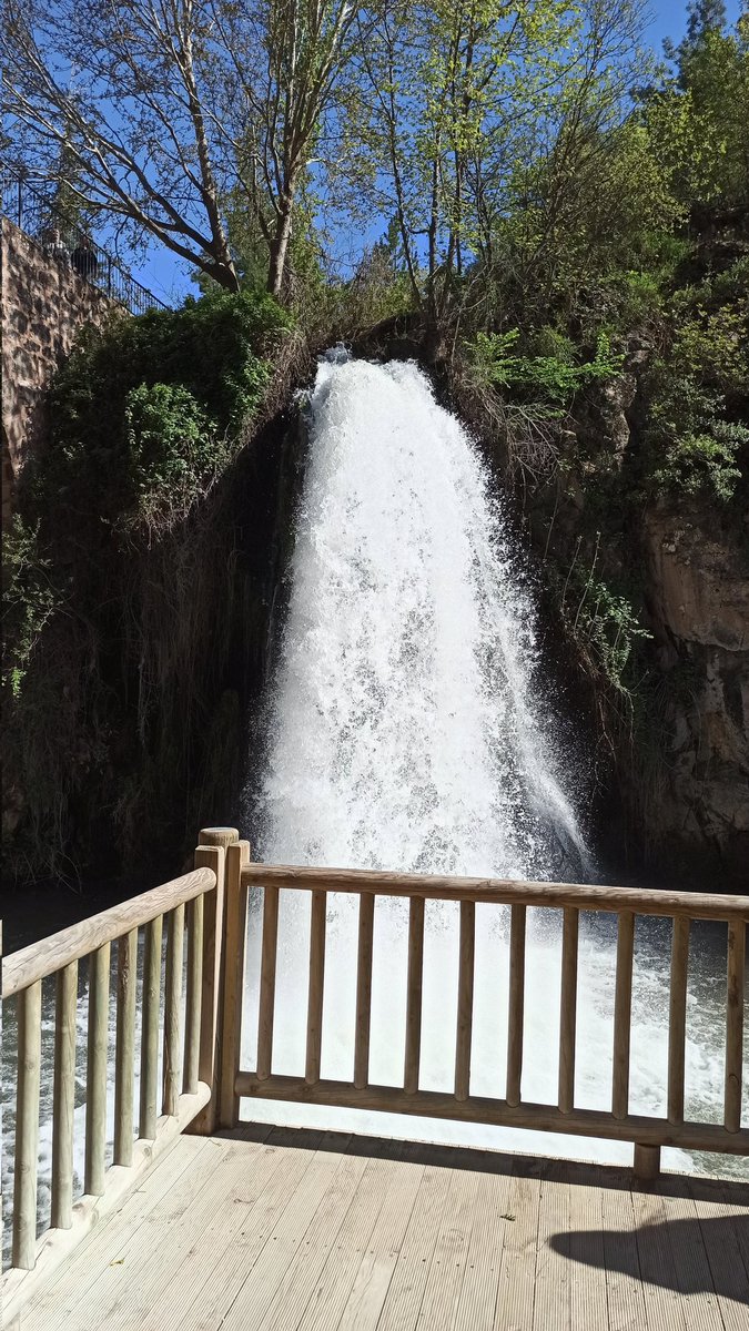 Panik yapma hep sakin kal.
Ne kadar zor şeyler hissedersen hisset bir gün, bir akşam üstü içinde küçük bir huzur, yüzünde tatlı bir rüzgar hissedeceksin.