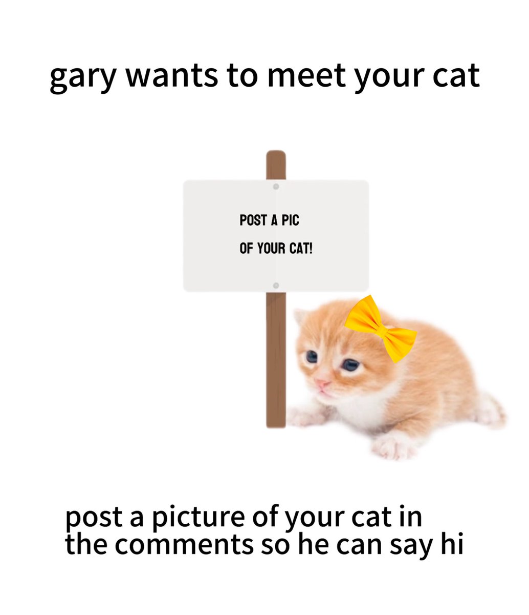 post your cats! 😽