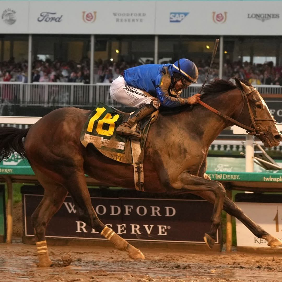 Desde la tierra del sol amado celebramos con orgullo maracucho la victoria de Junior Alvarado en el Derby de Kentucky junto a Sovereignty.

Un hijo de esta tierra que hoy brilla en lo más alto del hipismo mundial. ¡Gracias por regalarnos esta alegría, campeón!