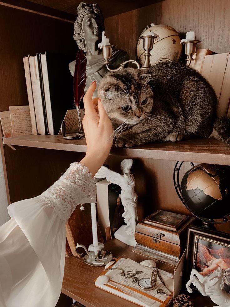 a_ali_pp's tweet image. لن اسامحك ابدا..
كل انصاف الحقيقة التي اخبرتني..
وتلك الخدعة المتقنة وقتها..
اوصلني لهاوية منهكة..كل حطام مدني لم اعاتب بها احدا..الا حطام روحي أعاتبك عليها..كغيوم سوداء انتظرت بلا مبالات مطرها واعصارها.. 
حتى عدت كصبار ملؤه اشواك..لم يعد احد يرغب بعناقه...