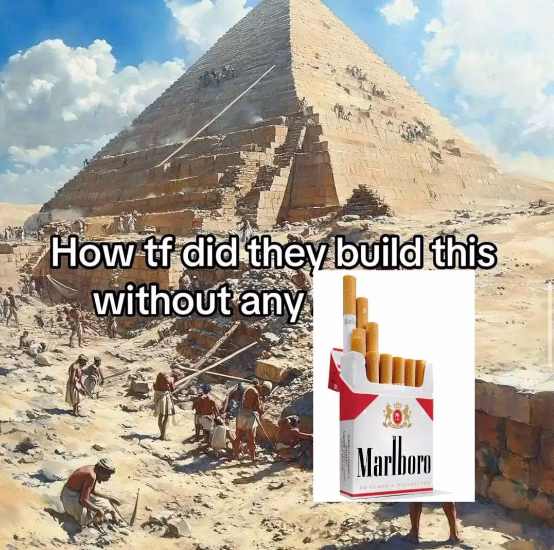 びーも (@beeeemooooo) on Twitter photo 