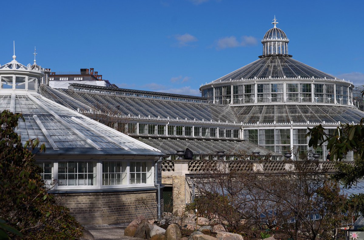 The palm house in the relaxing #Botanical_Garden - #Botanisk Have #Palmehuset - #Botanische_tuin #Botanische_Garten #Giardino_botanico #Jardín_Botánico #Jardin_botanique / (1/3)