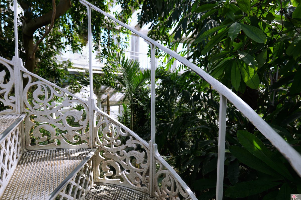 The palm house in the relaxing #Botanical_Garden - #Botanisk Have #Palmehuset - #Botanische_tuin #Botanische_Garten #Giardino_botanico #Jardín_Botánico #Jardin_botanique /(2/3)