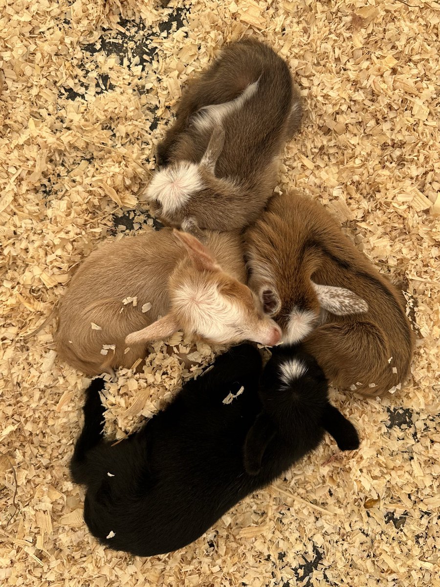 Guess what time of year it is 😌