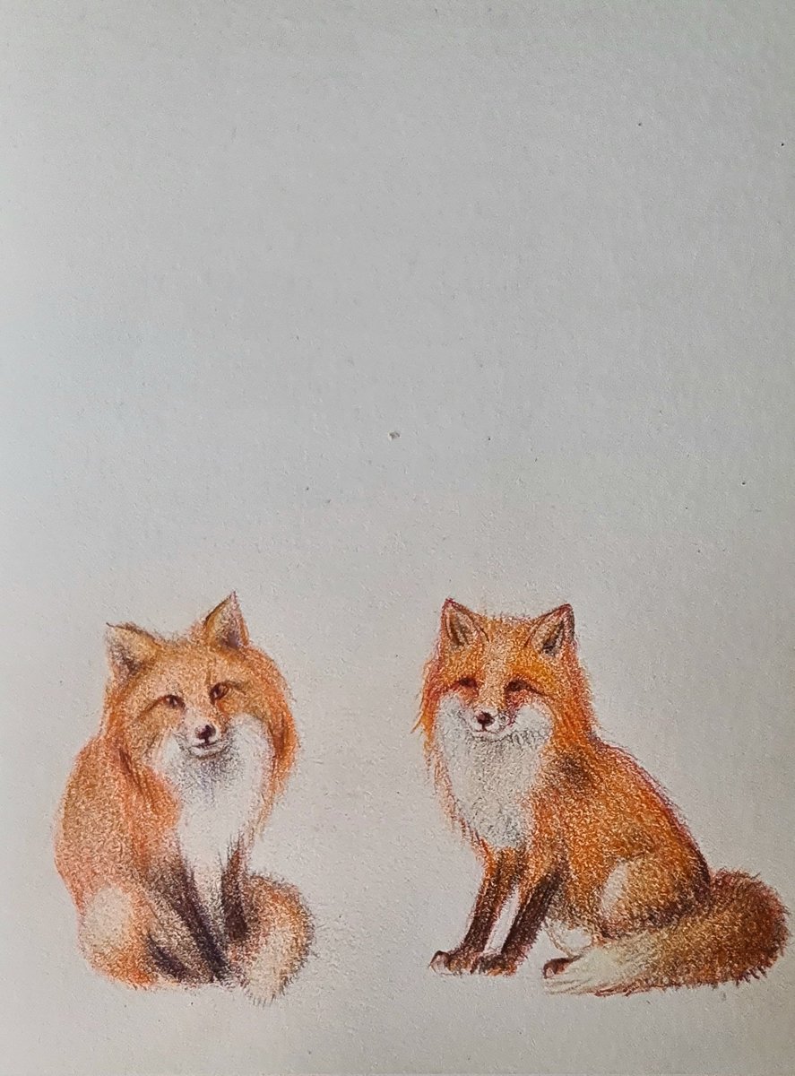 mfpaintings's tweet image. Jednemu lisku bylo smutno, to mu dorysowałam drugie 😊
Dziękujemy za uwagę, zapraszamy ponownie🧡🤗
#fox #firefox #art
