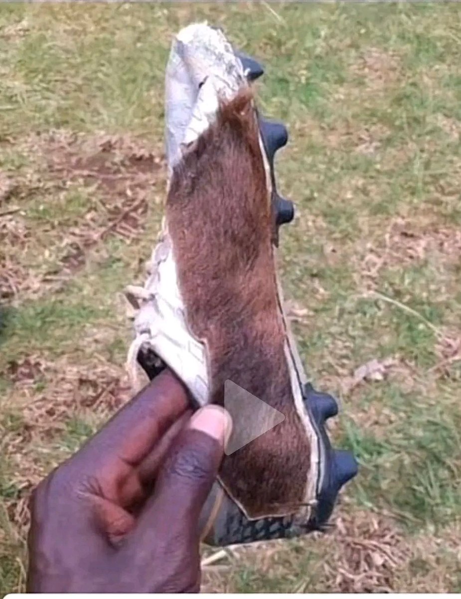 Ndio admin ametoka leave,Butere nkapitia apo shirere watu wa Sigalagala pirates wakanigift hii kiatu wao hutumia kwa mechi... anyways while I was away what happened?