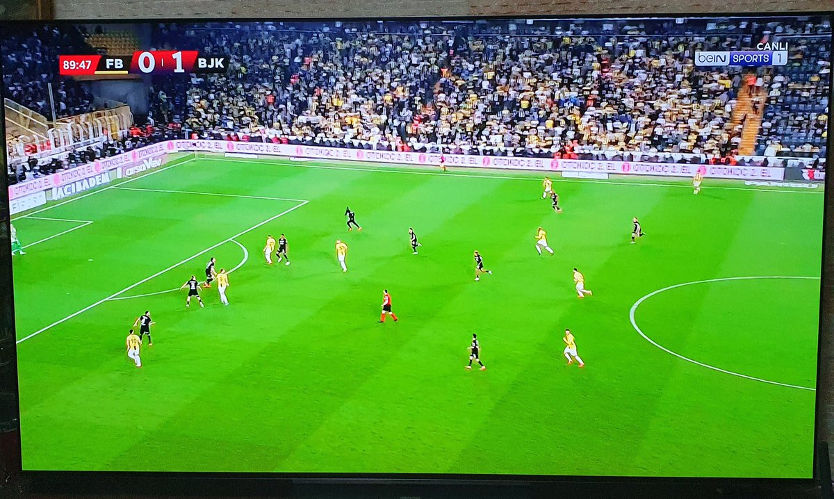 GS_Koreli's tweet image. 🎵🎶⏳️

#fenerağlama #MayıslarBizimdir