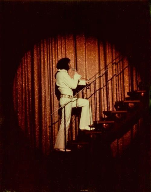Daily Elvis tweet media